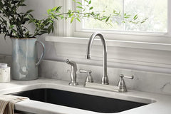 Two-handle kitchen faucet with spray | Tavomart